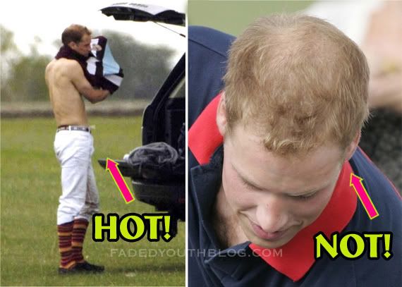 Gay Daily Hot Prince William 121