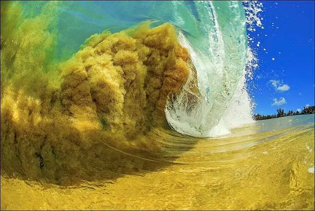 waves2.jpg