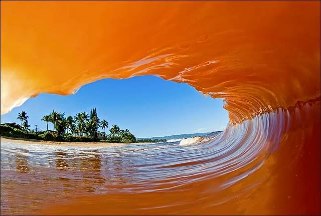 waves8.jpg