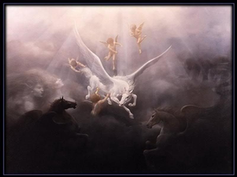 fantasy pegasus Pictures, Images and Photos