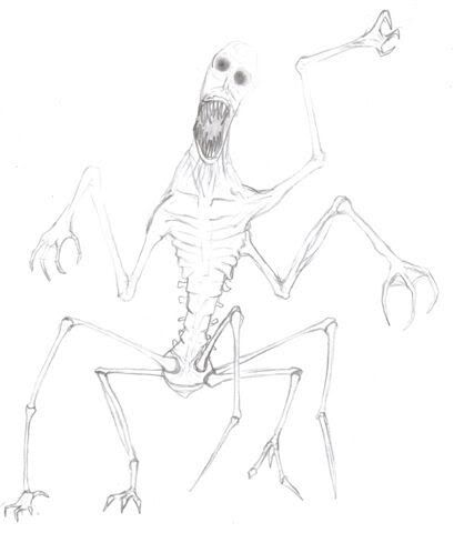 freak01-1.jpg