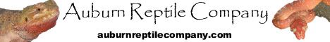 Auburn Reptile Company
