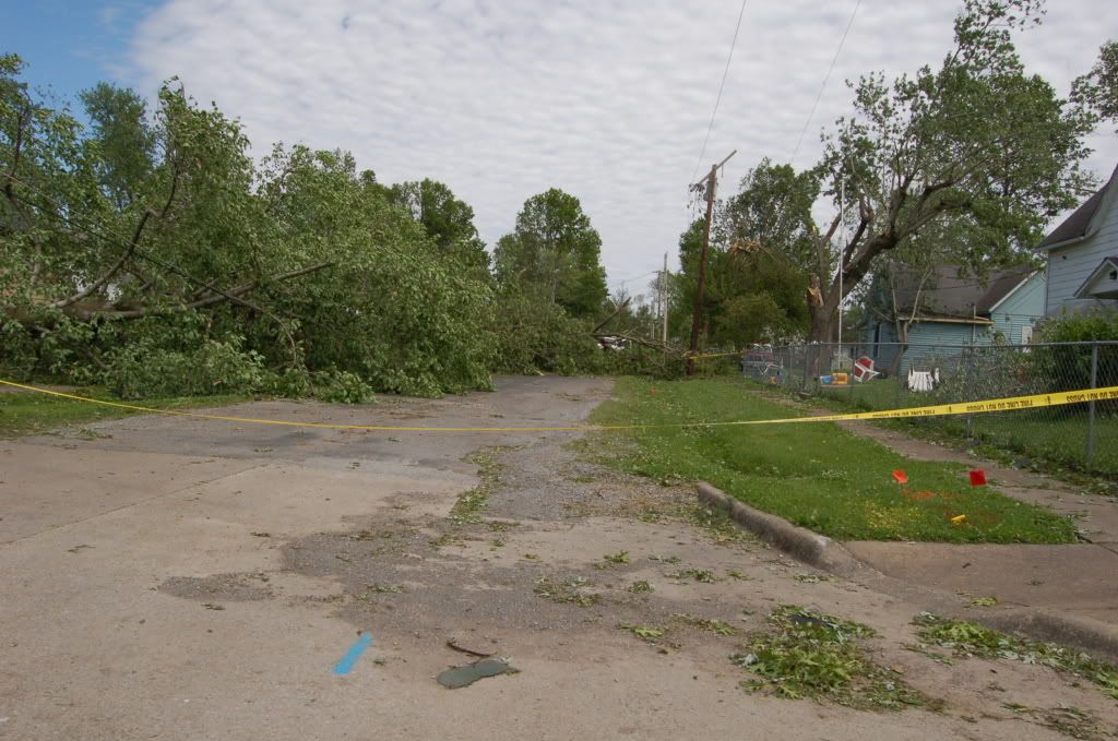 This is nearby where I used to live. Thats a 200-year-old oak cutting the main electric line, yay.