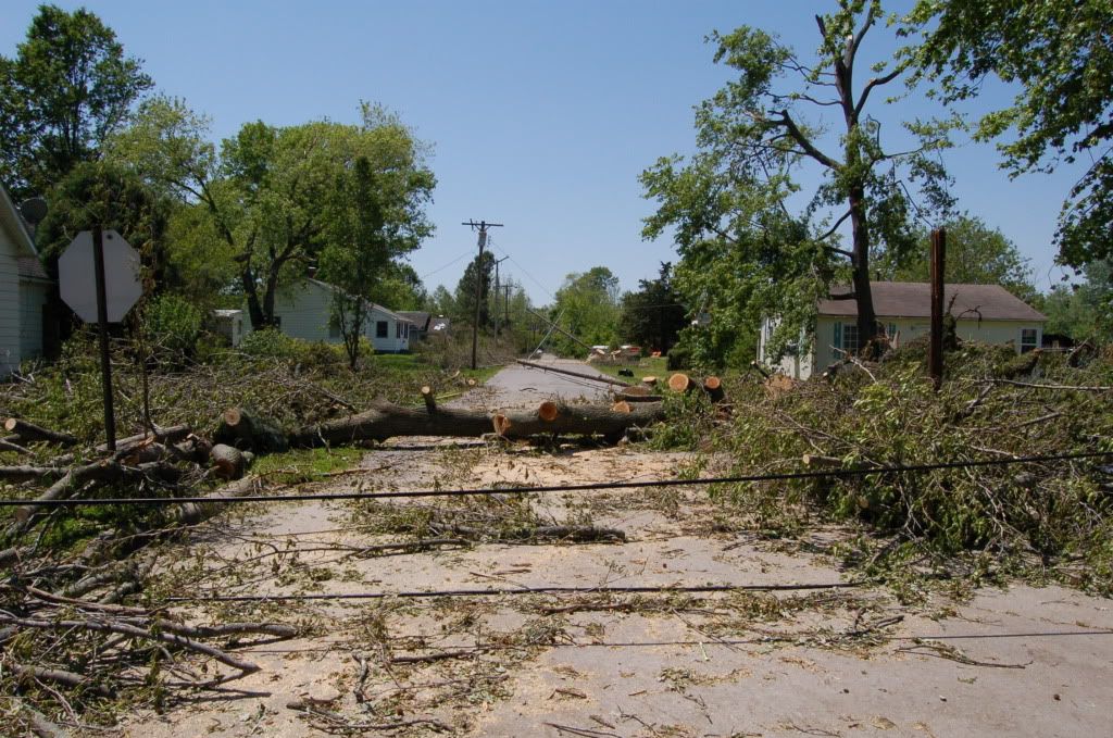 Heres my street, two days after the hurricane.