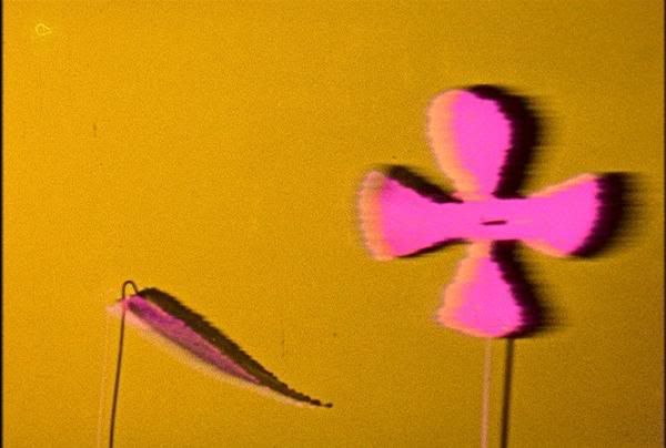 Original photography by Tony Youngblood