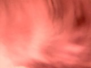 Digital Photography by E.J.