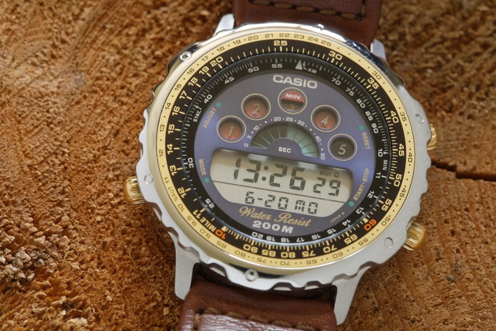 casio dw 7400