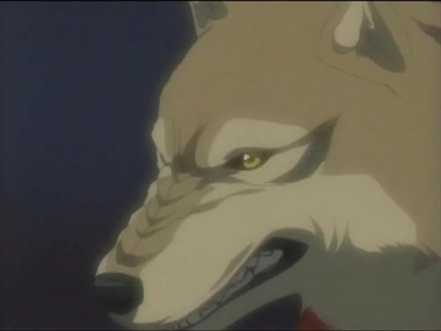higegrowl.jpg Hige in Wolf Form image by cooldragonkid