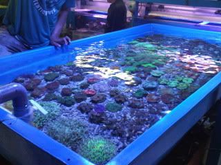 IMG01222-20110412-1619.jpg