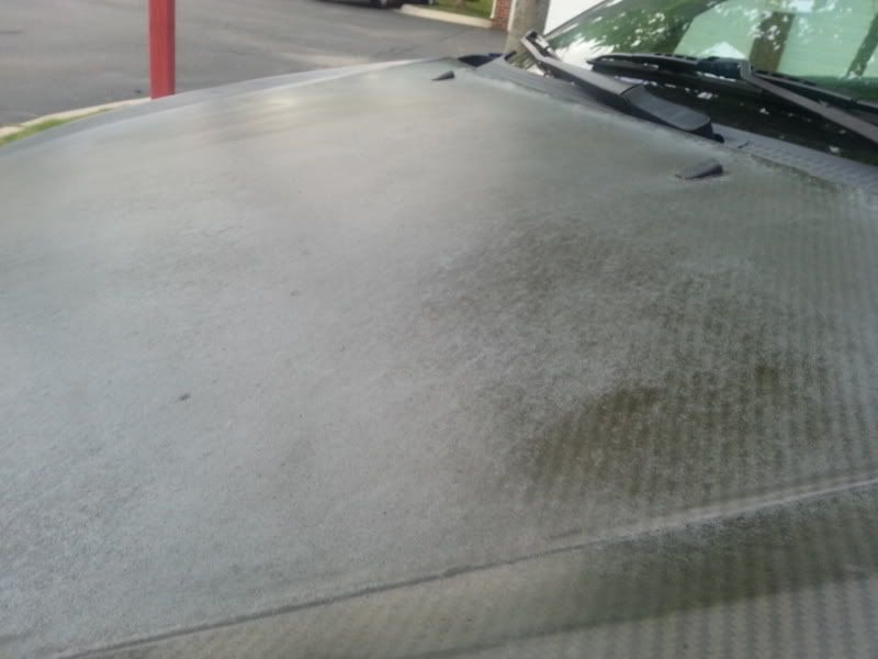 Carbon fiber hood cleaning Focus Fanatics Forum