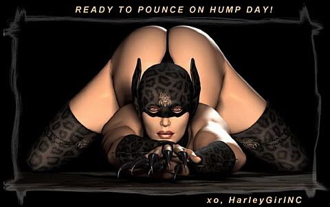 Catwoman-HumpDay.jpg