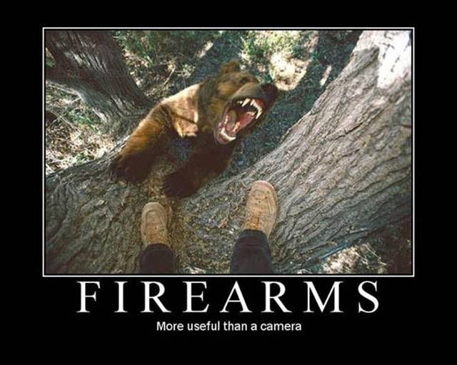 firearms.jpg