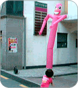 x5qtk8.gif
