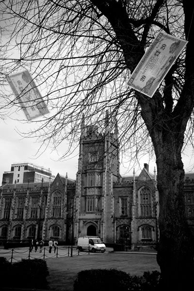 Moneytree - wish I had one