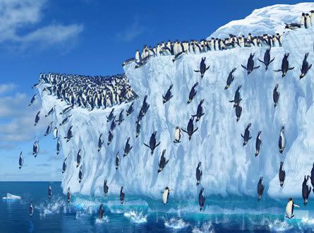 Recul de la banquise en Antarctique : quel avenir pour le manchot empereur ?