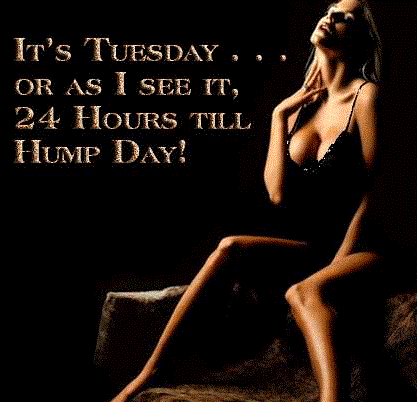 tuesday comments photo:  e589c2f7-d3d6-4ac4-bb73-f8b0622c4d36_zps7dc611dc.gif