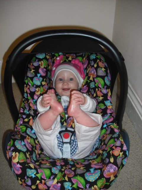 Carseatcover002.jpg