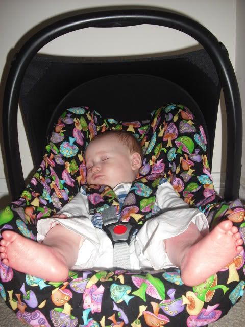 Carseatcover006.jpg
