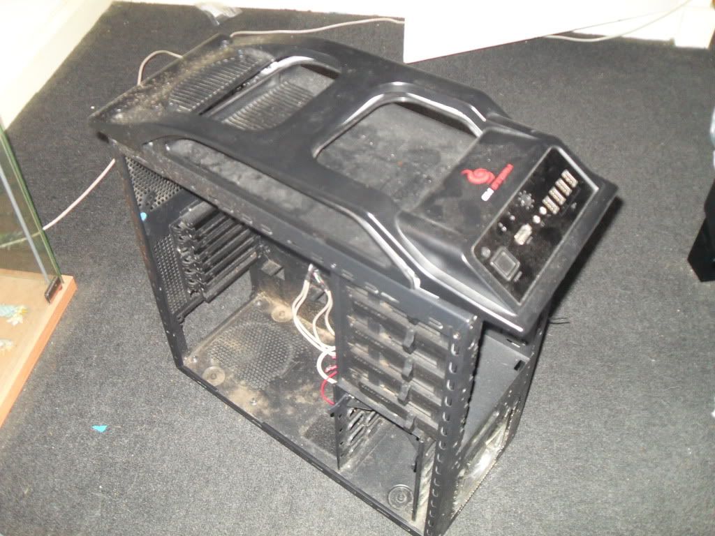 SDC12410.jpg