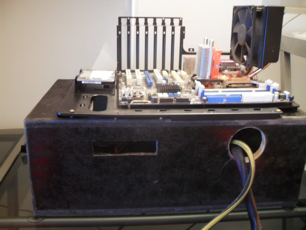 SDC12453.jpg