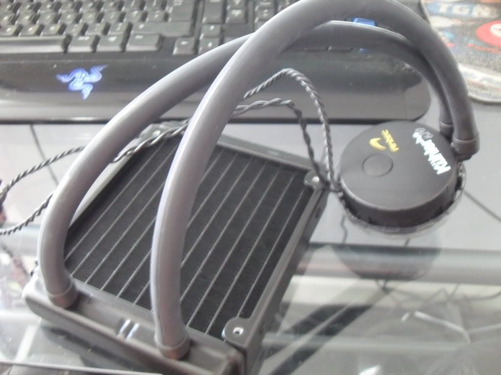 SDC11821.jpg