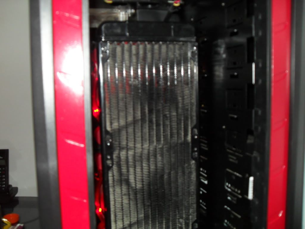 SDC11879.jpg