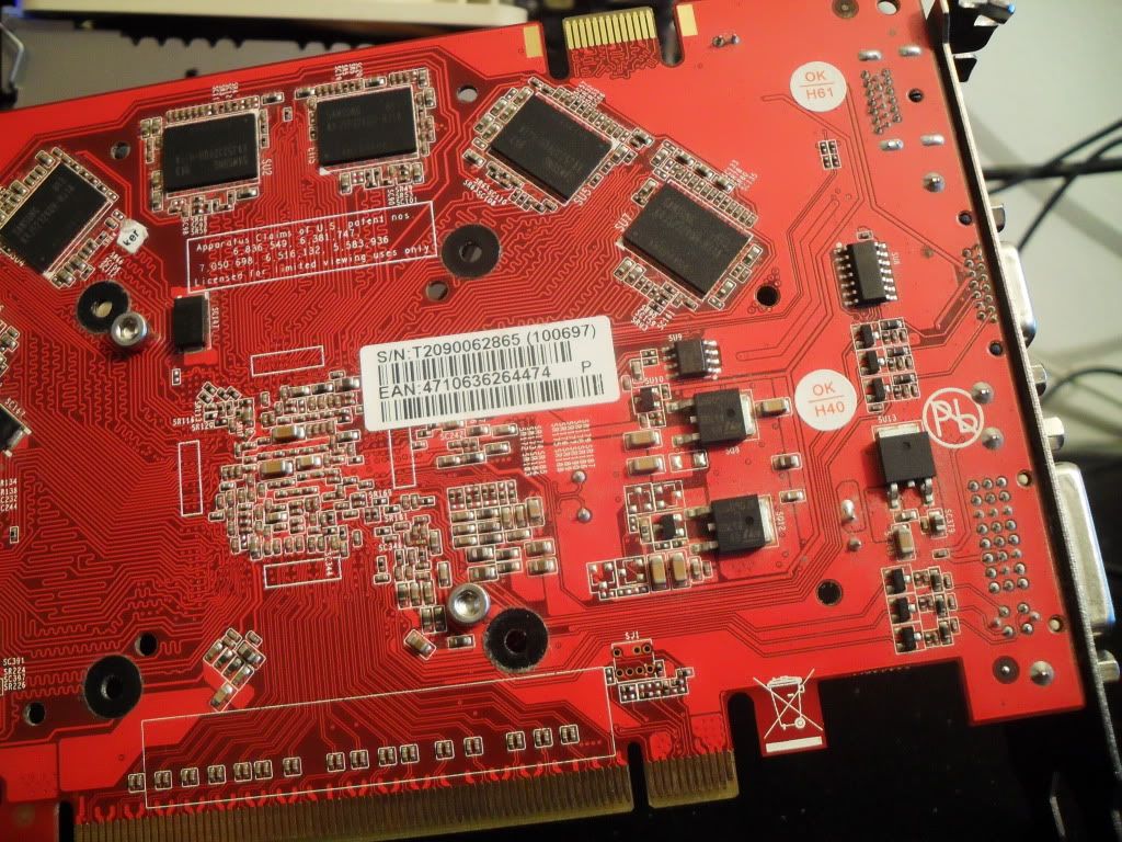 SDC12575.jpg