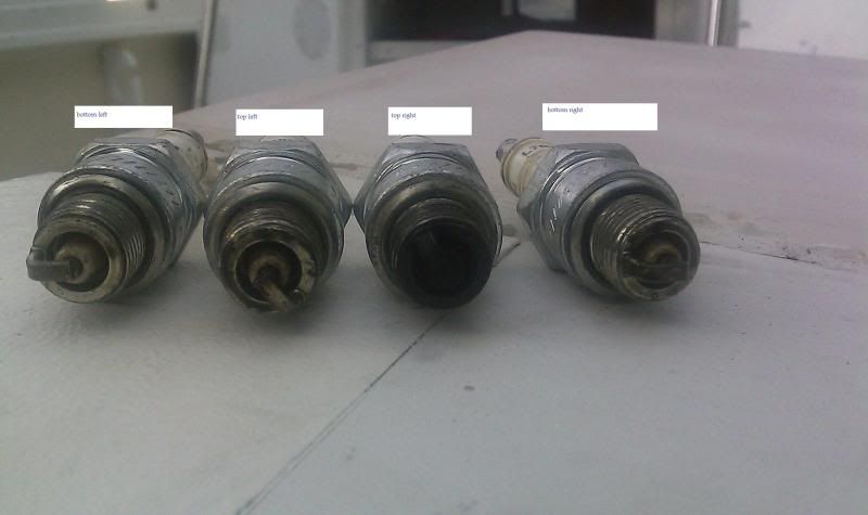 plugs.jpg