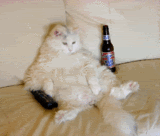 thdrunkcat.gif