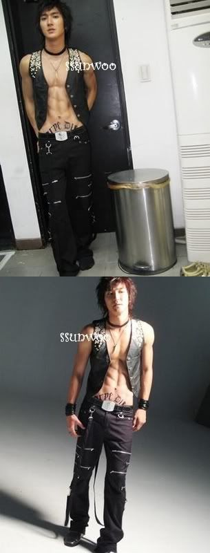 choisiwon.jpg choi siwon image by cattielyn