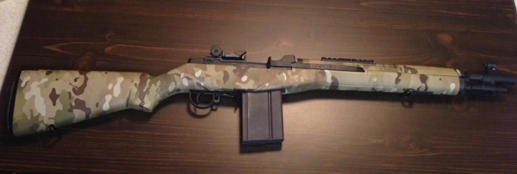 Springfield m1a stock options