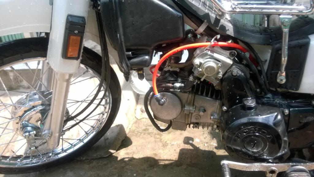 Dream Kiểng nhẹ ra đi - 5