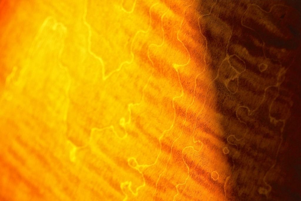 24C80BEB-EBE0-4837-BCD6-EE4EE7C21C24_zps