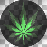 pot.gif image by mcclewj