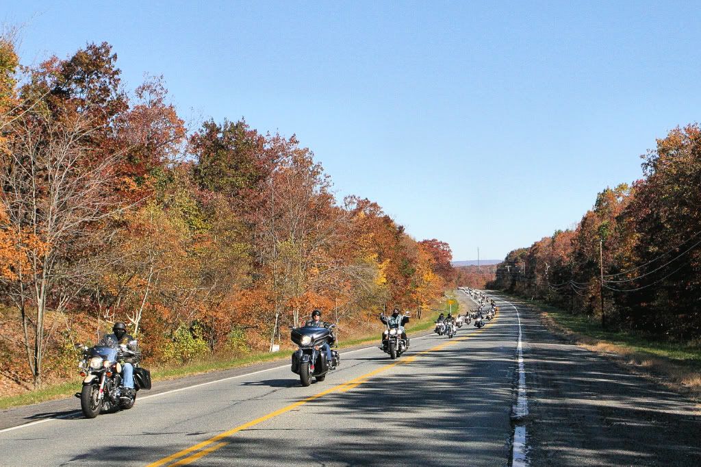 IMAGE: http://i93.photobucket.com/albums/l60/stoy17/AlbrightsvillePennForest/IMG_03221a.jpg