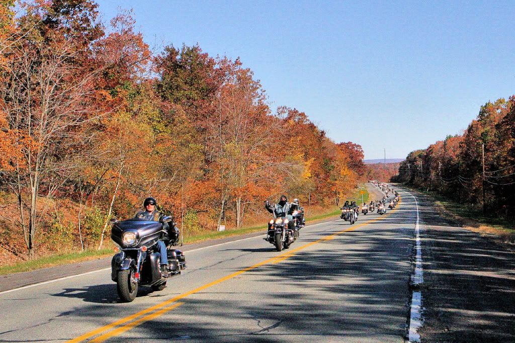 IMAGE: http://i93.photobucket.com/albums/l60/stoy17/AlbrightsvillePennForest/IMG_03231.jpg