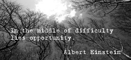 Einstein Pictures, Images and Photos