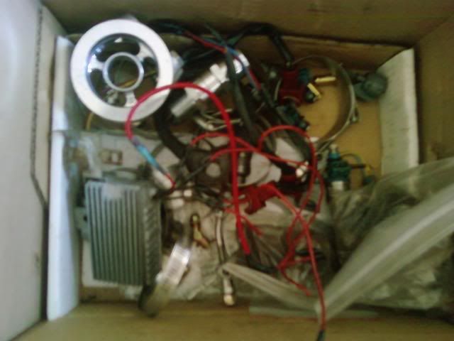 http://i93.photobucket.com/albums/l60/whiterabbit1021/untitled-27.jpg