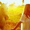 ICONATOR_3e55fb21f0740cf646c2d996c1.png Horse Avatar image by amysavviess ICONATOR_3e55fb21f0740cf646c2d996c1.png Horse Avatar image by amysavviess