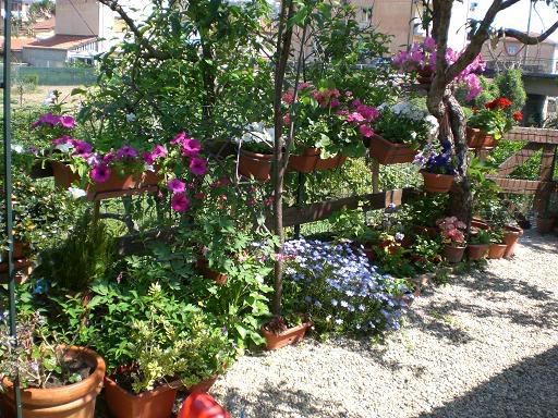 giardinoalbero01.jpg