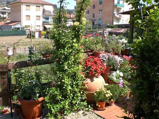 giardinoarco01.jpg