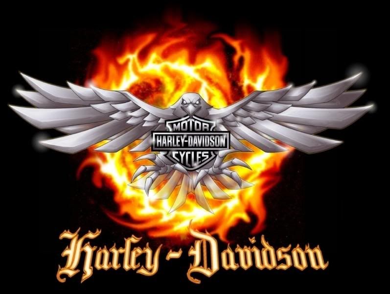 Harley Davidson Pictures, Images and Photos