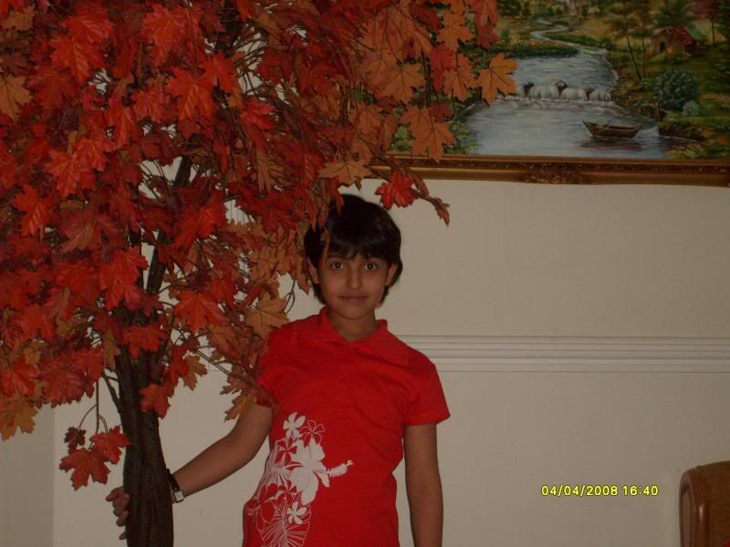 Photobucket - Video and Image Hosting