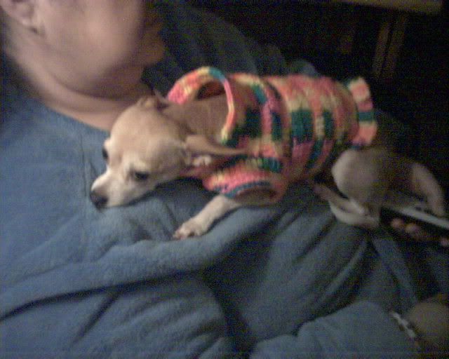 Crochetedchihuahuadogsweaters007.jpg