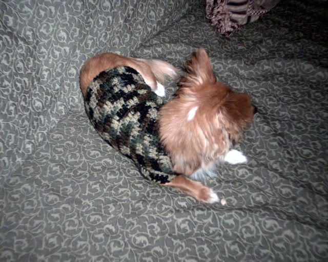 Crochetedchihuahuadogsweaters011.jpg