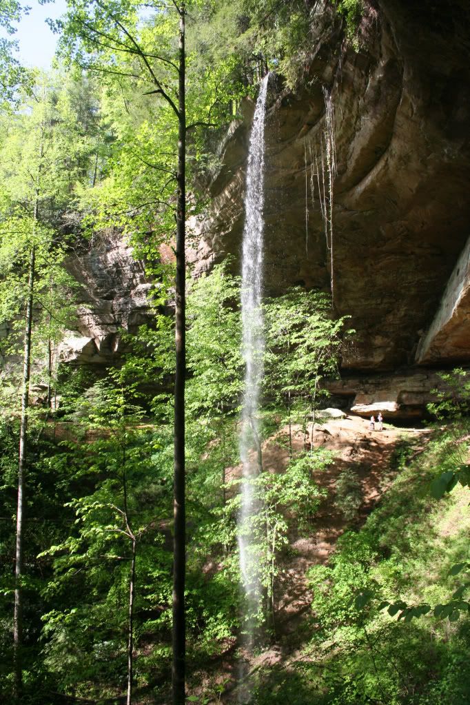 Torrent Falls