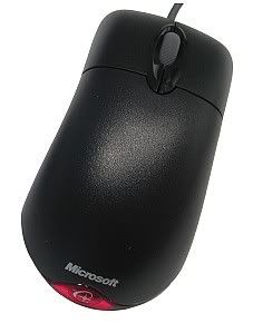 mouse.jpg