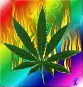 marijuana.jpg marijuana image by PrincessBubble21