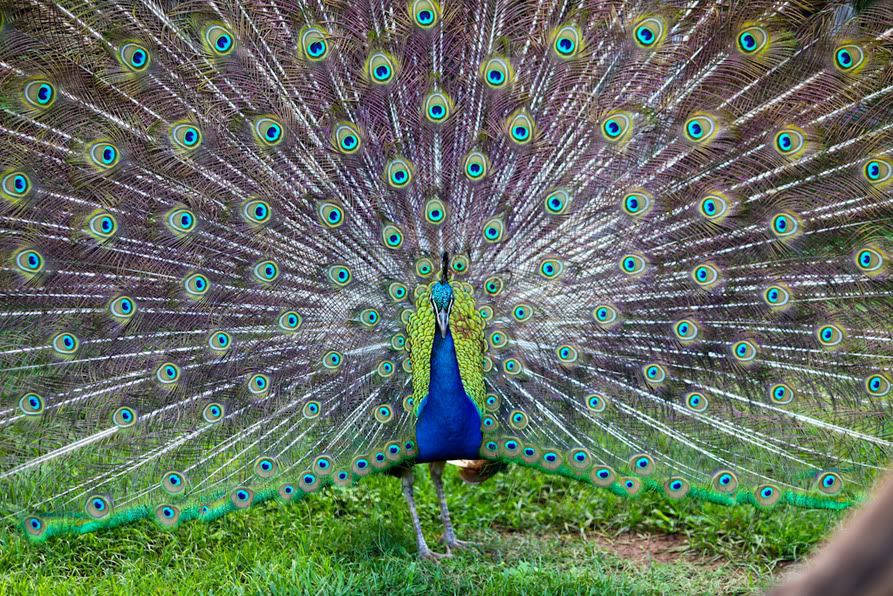 IMAGE: http://i93.photobucket.com/albums/l71/kmtyb/IMG_5208.jpg