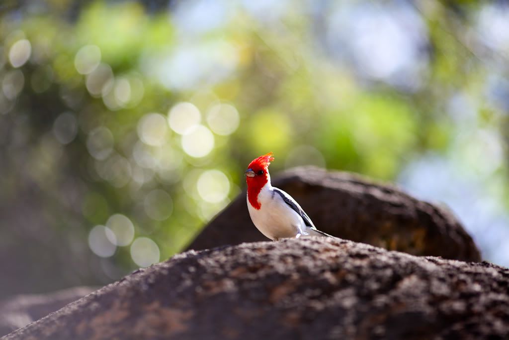 IMAGE: http://i93.photobucket.com/albums/l71/kmtyb/IMG_5246.jpg